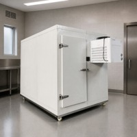 Chambre froide portable sur mesure RTK, ensemble complet avec unité de condensation refroidie par air pour le stockage alimentaire