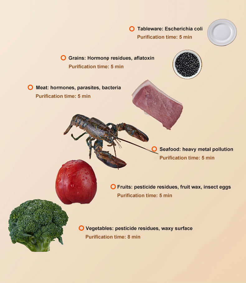 Máy tạo ozone chuyên dụng trong phòng thí nghiệm chuyên nghiệp với đồng hồ đo lưu lượng 12