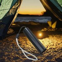 Senter Mini, Senter Mini paduan aluminium, Usb, dapat diisi ulang, senter Cob
