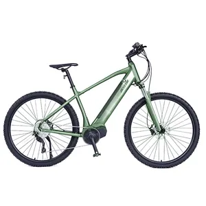 Mejor adulto Stealth bomber bicicleta de transporte eléctrico 72v EU almacén 750 a 1000W en el mundo