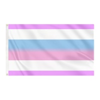 Drapeau de la fierté Femboy rose foncé et bleu clair 3x5 pieds en polyester personnalisé, prêt à être expédié, vente en gros, personnalisable pour événements nationaux