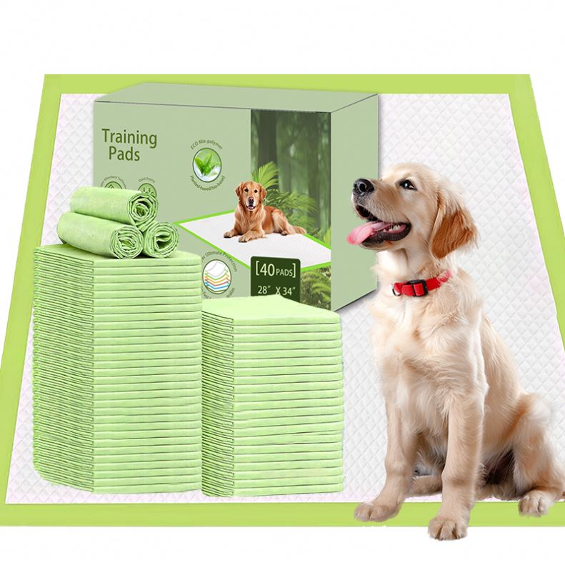 Large Dog Pee Pads 34x36 Inches - 50 Count Bulk Pack For Puppy Training & Potty Protection