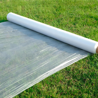 Film réfléchissant de paillis de feuille de paillage en plastique biodégradable pour la couverture de sol d'agriculture