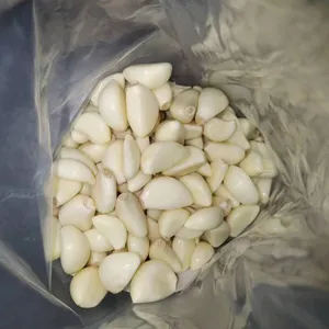 China best quality Fresh peeled garlic cloves white Peeled garlic 250G/500G /1kg carton packing market price