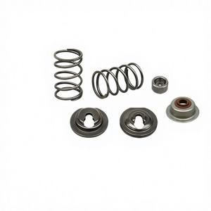 Juego de Resortes y Asientos de Válvulas de Admisión y Escape para Motor de Gasolina de Aleación, Nuevo, para GX160/200/6.5HP/7.5HP, Uso Agrícola - Product Image 5