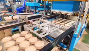 Macchina Automatica ad Alta Velocità per la Produzione di Piatti di Carta con Braccio Robotico a 6 Assi Controllato da PLC e Componenti Premium - Product Image 3