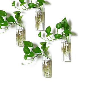 Hand geblasenes Wandbehang rundes Glasrohr Vase Pflanzer Pflanzen <span class=keywords><strong>terrarium</strong></span> für Haupt dekoration - Product Image 1