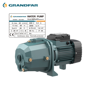 Pompe à eau haute pression Grandfar 1''x1.25''x1'' 1HP avec câblage en aluminium et turbine en laiton pour l'irrigation agricole et les eaux usées Jet GDPm370 1''1.25 - Product Image 3