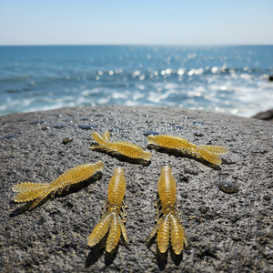 RYOBI OEM 7.5cm 6.5cm Esche Artificiali Morbide in Plastica <span class=keywords><strong>a</strong></span> Forma di Gambero per la <span class=keywords><strong>Pesca</strong></span>, Jig per Calamari, Ned Shrimp per la <span class=keywords><strong>Pesca</strong></span> <span class=keywords><strong>a</strong></span> <span class=keywords><strong>Fondo</strong></span> del Bass - Product Image 5