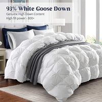 Couette en duvet d'oie ChamXue, taille double, 800 puces de duvet, 100 % coton, toutes saisons, insert de couette 700 fils, ultra-douce et moelleuse