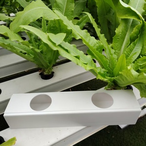 Equipo de Invernadero NFT para Jardín Vertical Hidropónico, Cultivo Vertical en Torre, para Hogar y Jardín Inteligentes - Product Image 5