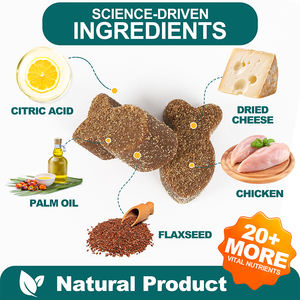 פופולרי ביותר חתול אנטי אלרגיה טבליות לעיסה רך כדי להגביר את המערכת החיסונית, תוספי חיות מחמד - Product Image 3