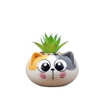 Pot de fleurs en céramique créatif en forme de chat, motif animaux de dessin animé, mignon, pour plantes en pot de bureau, pot de plante chat expressif, décoration de bureau