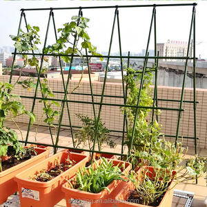 Pflanzens tütz stange Kunststoff-Klettergerüst für Trauben passions frucht Gurken bohnen Tomaten Garten zubehör - Product Image 6