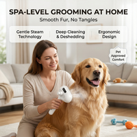 Kit de toilettage pour animaux de compagnie rechargeable par USB 5 en 1, brosse à vapeur à long manche avec pulvérisation d'eau, outils de toilettage auto-nettoyants en plastique