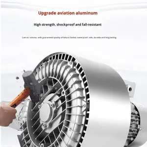 Dubbele impeller hogedruk vortex ventilator visvijver kweek zuurstofvoorziening industriële 380V krachtige roerende vacuümpomp luchtmotor - Product Image 2