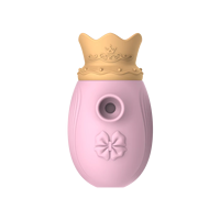 Voll wasserdichtes Sexspielzeug für weibliches USB-Aufladen 2-in-1-Vibrator mit 10 Frequencies Lecken Saugen stimuliert Nippel klitoris