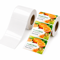 Papel BOPP Sintético Mate y Brillante Resistente al Agua para Impresora de Inyección de Tinta Epson ColorWorks Memjet, Etiquetas Adhesivas para Impresión Digital a Color