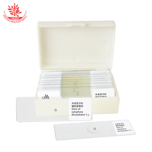 Índice de refracción de los tallos de plantas dicotiledonosas; sección transversal clara de la estructura del tallo de la planta; rebanadas biológicas. - Product Image 2