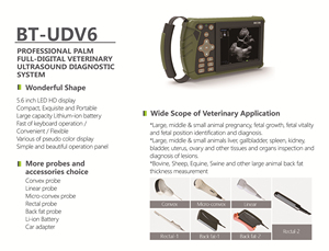 BT-UDV6 Bestran Schapenkoeien Paarden Dieren Usg Veterinair Apparaat Dierenarts Apparatuur Draagbare Echografie Machine Scanner - Product Image 4