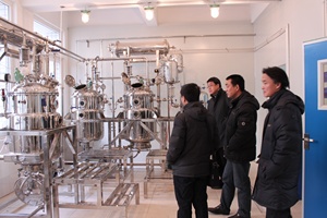 Hot Bán Bánh Ngay Lập Tức Men Khô Đường Thấp 500G <span class=keywords><strong>450G</strong></span> Túi Nhà Sản Xuất Chuyên Nghiệp Bánh Men Nhà Máy - Product Image 5