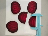 Cubes de betterave rouge surgelés 15x15mm IQF en vrac pour ragoûts, casseroles, plats chauds, fournisseur de traiteur Chine