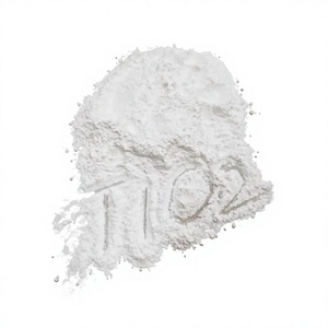 Dióxido de Titanio de Grado Premium para la Fabricación de Pinturas - Product Image 1