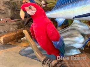 Tùy chỉnh-thực hiện animatronic Vẹt với lông và mật độ cao xốp & kim loại thép xây dựng - Product Image 6