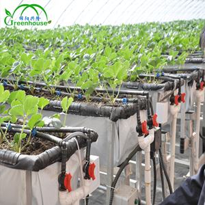 Le moins cher excellente <span class=keywords><strong>isolation</strong></span> serre solaire commerciale avec Double <span class=keywords><strong>isolation</strong></span> pour l'hiver/zone froide - Product Image 4