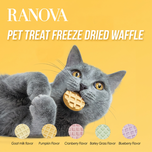 Friandises lyophilisées pour chats en forme de gaufre au poulet frais RANOVA 2026 en stock - Product Image 1