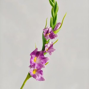 ช่อดอกกลาดิโอลัสประดิษฐ์สวยงาม ดอกไม้ผ้าไหม สีแดงไวน์ สีม่วงลาเวนเดอร์ สีฟ้าอ่อน สีเหลือง สีส้ม สำหรับตกแต่งบ้าน งานแต่งงาน - Product Image 4