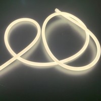 Bande lumineuse LED néon flexible ronde de 16 mm à 270 degrés, 12 V 24 V, en silicone, pour contour architectural et décoration grand angle