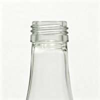 Bouteille de boisson en verre à fond volcanique 330 ml, design de base unique, étanche, durable, réutilisable, transparente, écologique