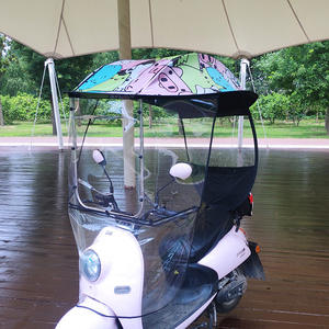 Vente en gros usine : Auvent semi-fermé élargi avec protection latérale et pare-soleil pour voiture électrique, voiture à batterie et moto - Product Image 3