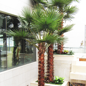 <span class=keywords><strong>Centro</strong></span> Comercial decoración del Hotel <span class=keywords><strong>palma</strong></span> Artificial árbol de ventas - Product Image 4
