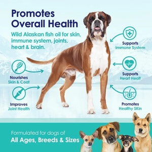Aceite de Pescado Omega 3 de Marca Privada para Perros, Salud Articular, Alivio del Picor, Suplemento para la Piel con Problemas de Pelaje, Aceite de Salmón de Alaska Omega 3 6 9 EPA y DHA - Product Image 2