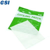 Patch de menthol pour soulager la douleur musculaire du dos et des épaules, refroidissement instantané, qualité GMP CSI