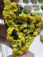 Cristal d'autunite vert fluorescent naturellement présent, bloc minéral de forme cubique, provenant de l'extraction locale du Hunan, collection de spécimens