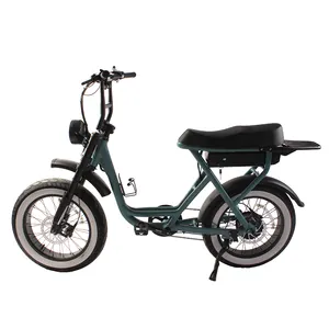 가장 저렴한 가격 Ebike 장거리 전기 자전거 팻 타이어 Ebike 맞춤형 로고 리튬 배터리 고속 Ebike