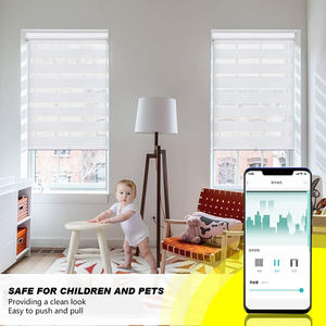 Raex Tubular <strong>Motor</strong> TQL25 Modern <strong>Roller</strong> <strong>Motor</strong> Light Grey Electric <strong>Roller</strong> Blind <strong>Motor</strong> Motorized <strong>Roller</strong> Blinds - Product Image 5