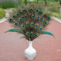 Plumes de paon naturelles pour fêtes, carnavals, mariages, décorations de Noël, vases, décorations de vacances, artisanat floral DIY, motifs teints