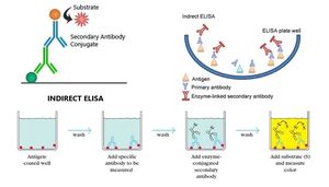 Kit <span class=keywords><strong>ELISA</strong></span> per Anticorpi del Virus della Malattia di Newcastle - Product Image 2