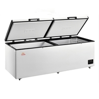 Nouveau modèle de congélateur coffre commercial BC/BD-998 998l antibactérien Double porte chaîne et barre de guidage pour congélateur coffre
