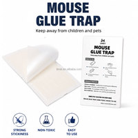 Piège à colle solide OEM pour souris et rongeurs, en ABS, pour usage domestique, contrôle des animaux, répulsif contre les insectes et les nuisibles