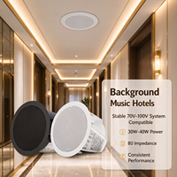 Haut-parleur coaxial encastrable de 6,5 pouces, passif, 30W 40W, pour sonorisation commerciale, musique d'ambiance, sonorisation publique, home cinéma, école