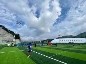 Erba Sintetica FIFA Quality Pro 40mm 50mm 60mm per Campi da <span class=keywords><strong>Calcio</strong></span>, Prato Artificiale per Campi Sportivi - Product Image 6