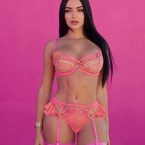 2025跨境新品: 热销性感内衣套装-花卉刺绣蕾丝网眼透明文胸三件套 - Product Image 4