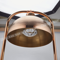 Réchaud de buffet électrique professionnel en acier inoxydable avec lampe chauffante