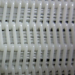 Sıcak satış 100% Polyester Spiral kurutucu presli filtre kumaş kemer atıksu arıtma - Product Image 3