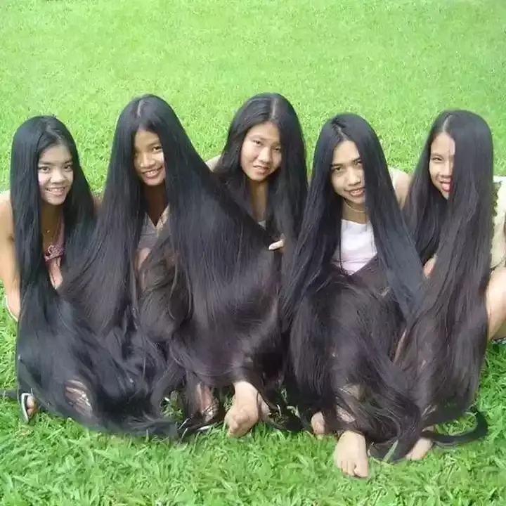 Queenlife — cheveux brésiliens express, cheveux à double drawn, style vietnamien, 12 pouces